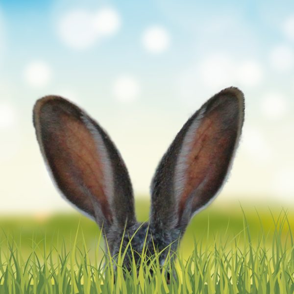 Lauterbach Kreativbetreuung, Werbeagentur, Marketing, Kreativ, Agentur, Social Media, Consulting, Kommunikationsagentur, Gestaltung, Anzeigengestaltung, Osterhase, Ohren, Ostern, Frohe Ostern