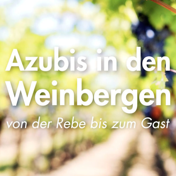 Azubis in den Weinbergen